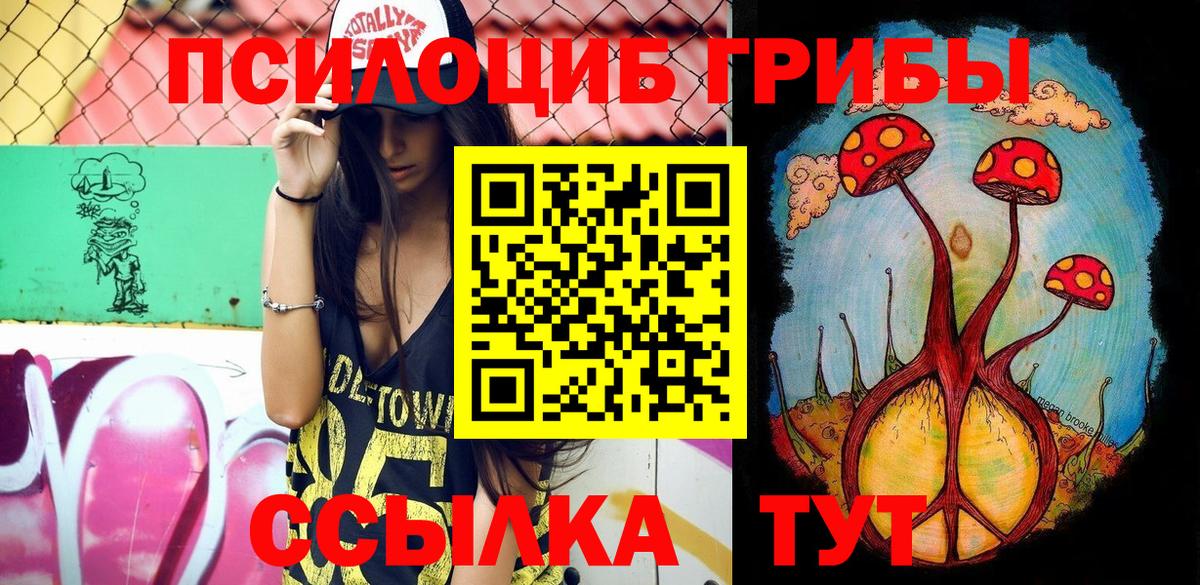 Галлюциногенные грибы Psilocybe  Минеральные Воды 