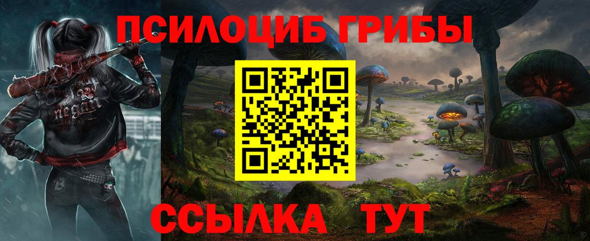 Галлюциногенные грибы MAGIC MUSHROOMS  Псилоцибиновые грибы GOLDEN TEACHER  где можно купить наркотик  Вход с VPN  Минеральные Воды 