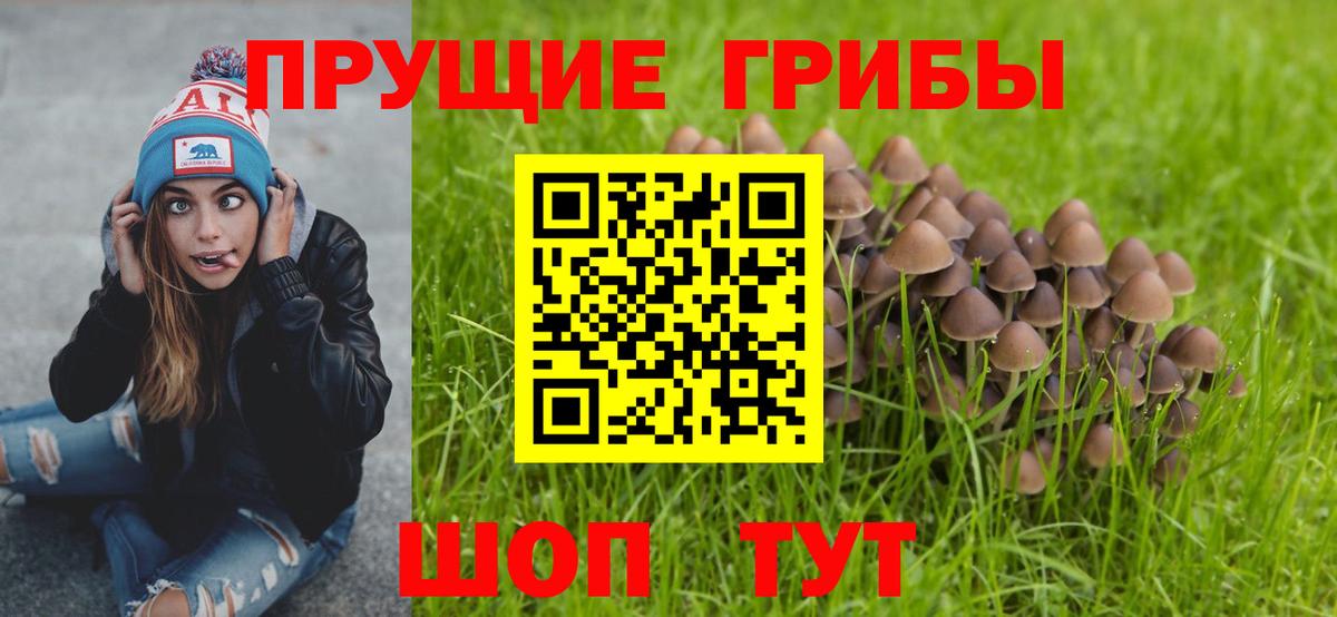 Галлюциногенные грибы GOLDEN TEACHER Минеральные Воды